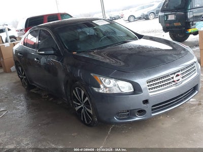 NISSAN MAXIMA 2010
