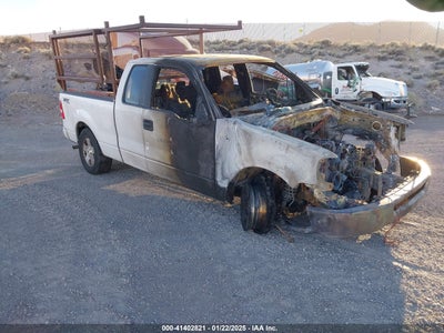 FORD F-150 2007