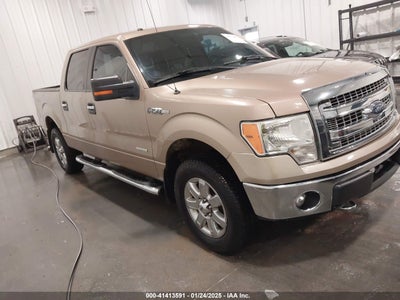 FORD F-150 2013