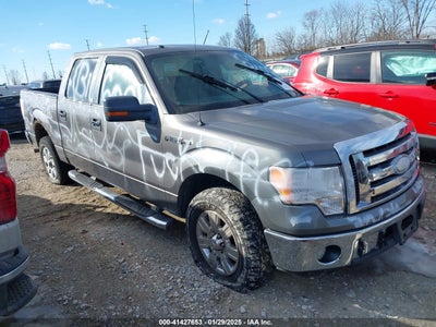 FORD F-150 2009
