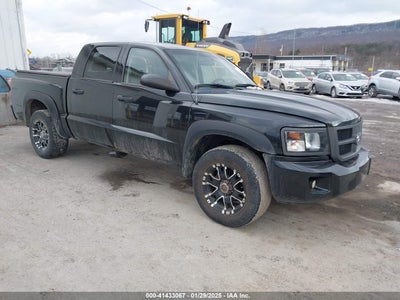 RAM DAKOTA 2011