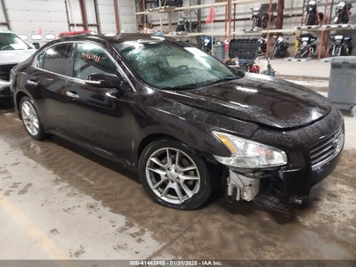 NISSAN MAXIMA 2010