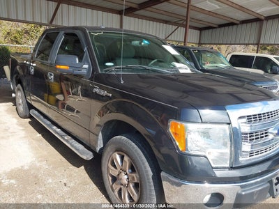 FORD F-150 2014