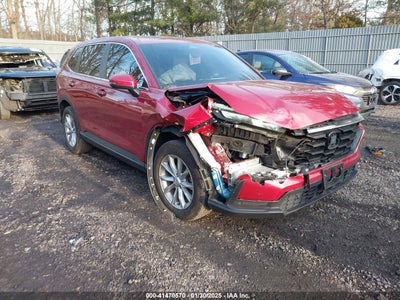 HONDA CR-V 2024