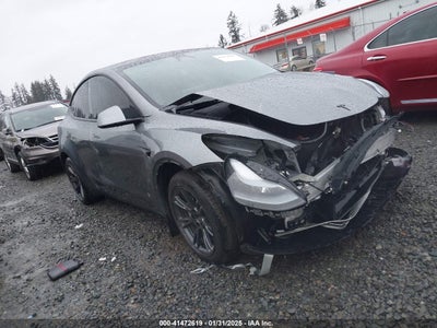 TESLA MODEL Y 2024