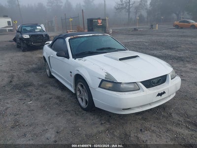 FORD MUSTANG 2002