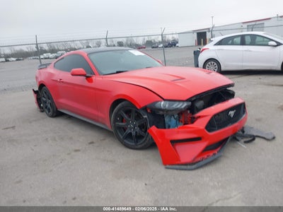 FORD MUSTANG 2019