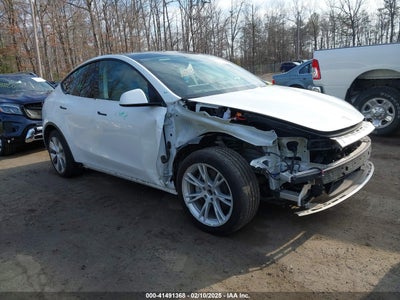TESLA MODEL Y 2021