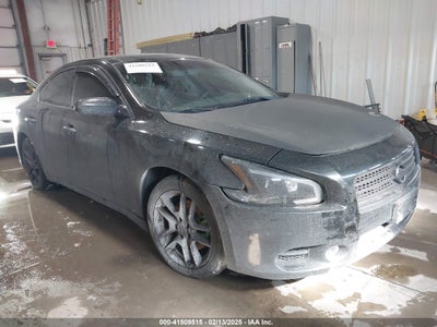 NISSAN MAXIMA 2010