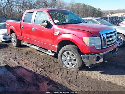 FORD F-150 2009