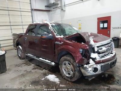 FORD F-150 2010