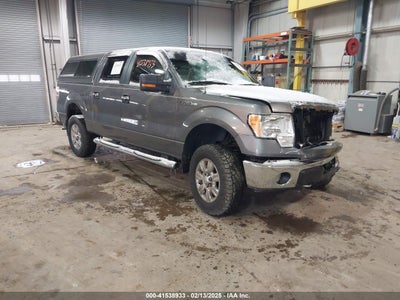 FORD F-150 2009