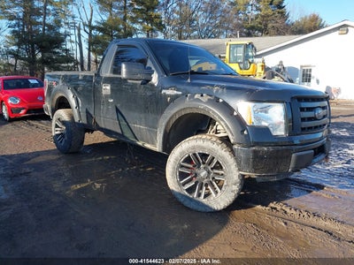 FORD F-150 2011