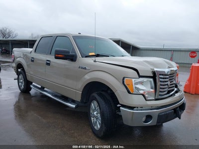 FORD F-150 2010
