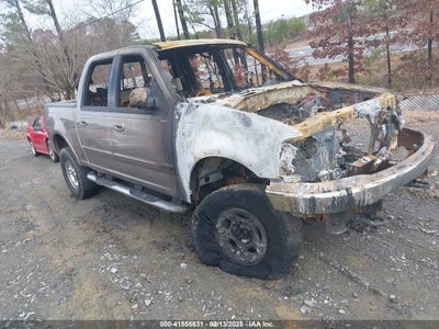 FORD F-150 2002