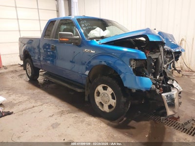 FORD F-150 2010