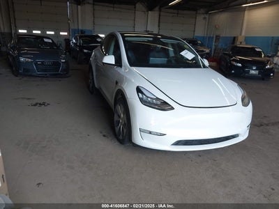 TESLA MODEL Y 2020