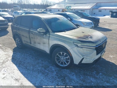 HONDA CR-V 2024