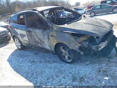 FORD ESCAPE 2014