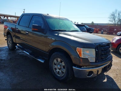 FORD F-150 2009