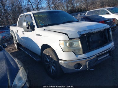 FORD F-150 2010