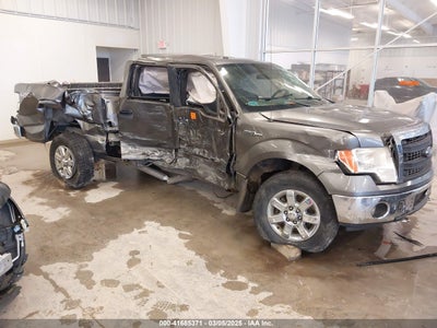 FORD F-150 2013