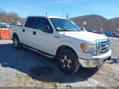 FORD F-150 2010