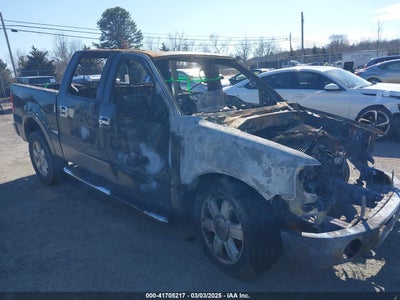 FORD F-150 2006