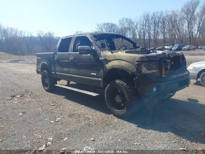 FORD F-150 2013
