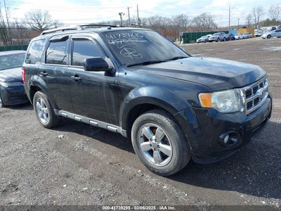 FORD ESCAPE 2010