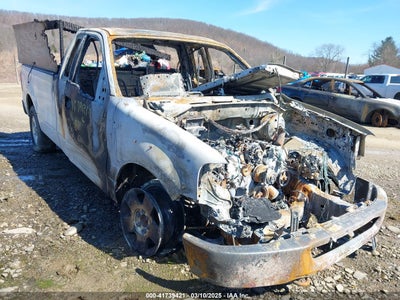 FORD F-150 2008