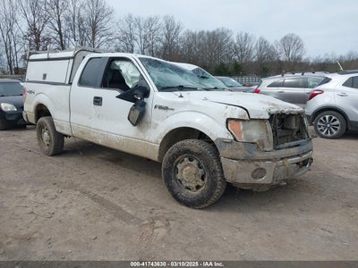FORD F-150 2010