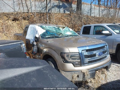 FORD F-150 2013