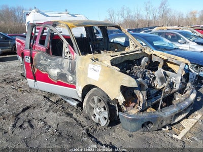 FORD F-150 2010