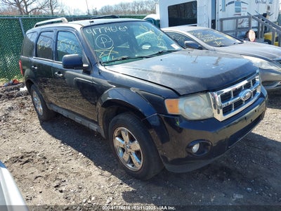 FORD ESCAPE 2010
