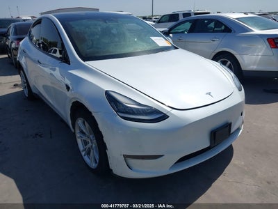 TESLA MODEL Y 2021