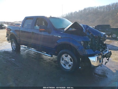 FORD F-150 2009