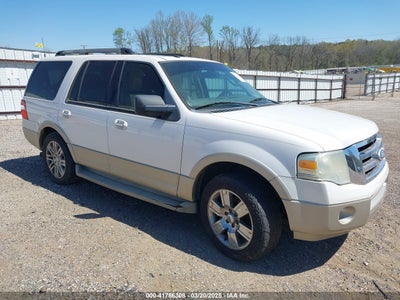 FORD EXPEDITION EDDIE BAU 2010
