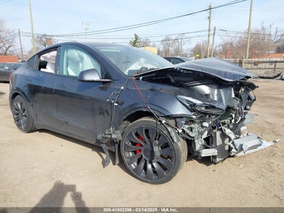 TESLA MODEL Y 2024