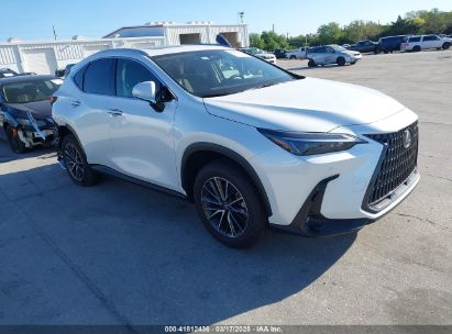 Lexus Nx 2025