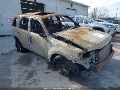 FORD ESCAPE 2010