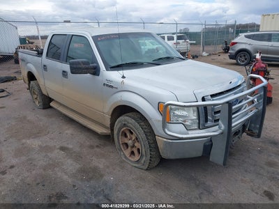 FORD F-150 2009