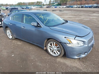 NISSAN MAXIMA 2010