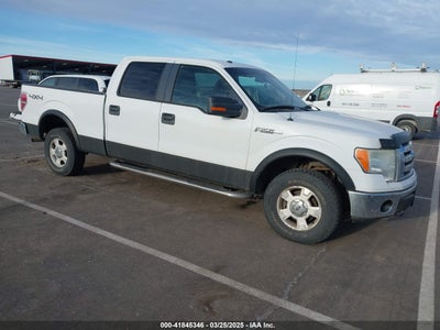 FORD F-150 2009