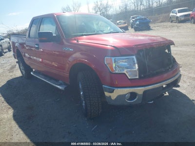 FORD F-150 2010