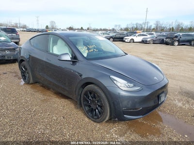 TESLA MODEL Y 2021