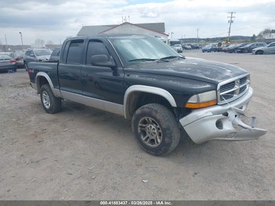 DODGE DAKOTA 2004