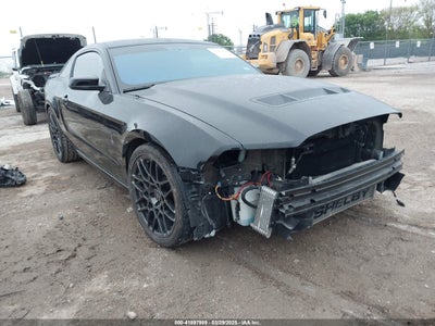 FORD SHELBY GT500 2014