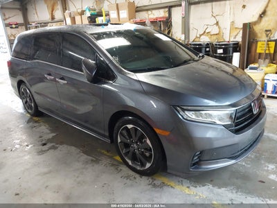 HONDA ODYSSEY 2024