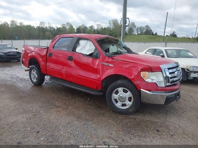 FORD F-150 2009